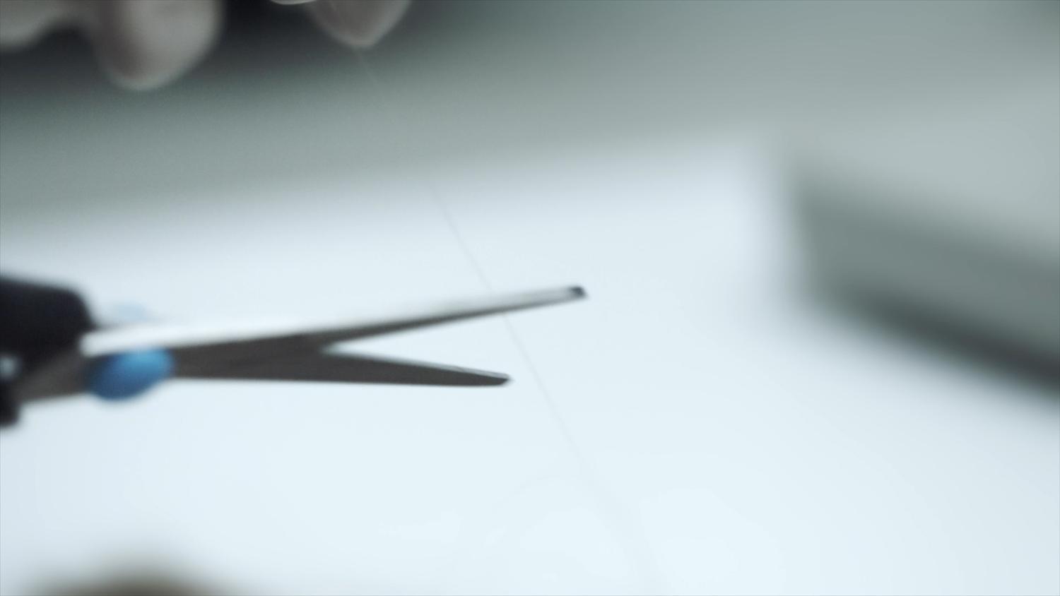 Curled hair tresses hanging in the science laboratory